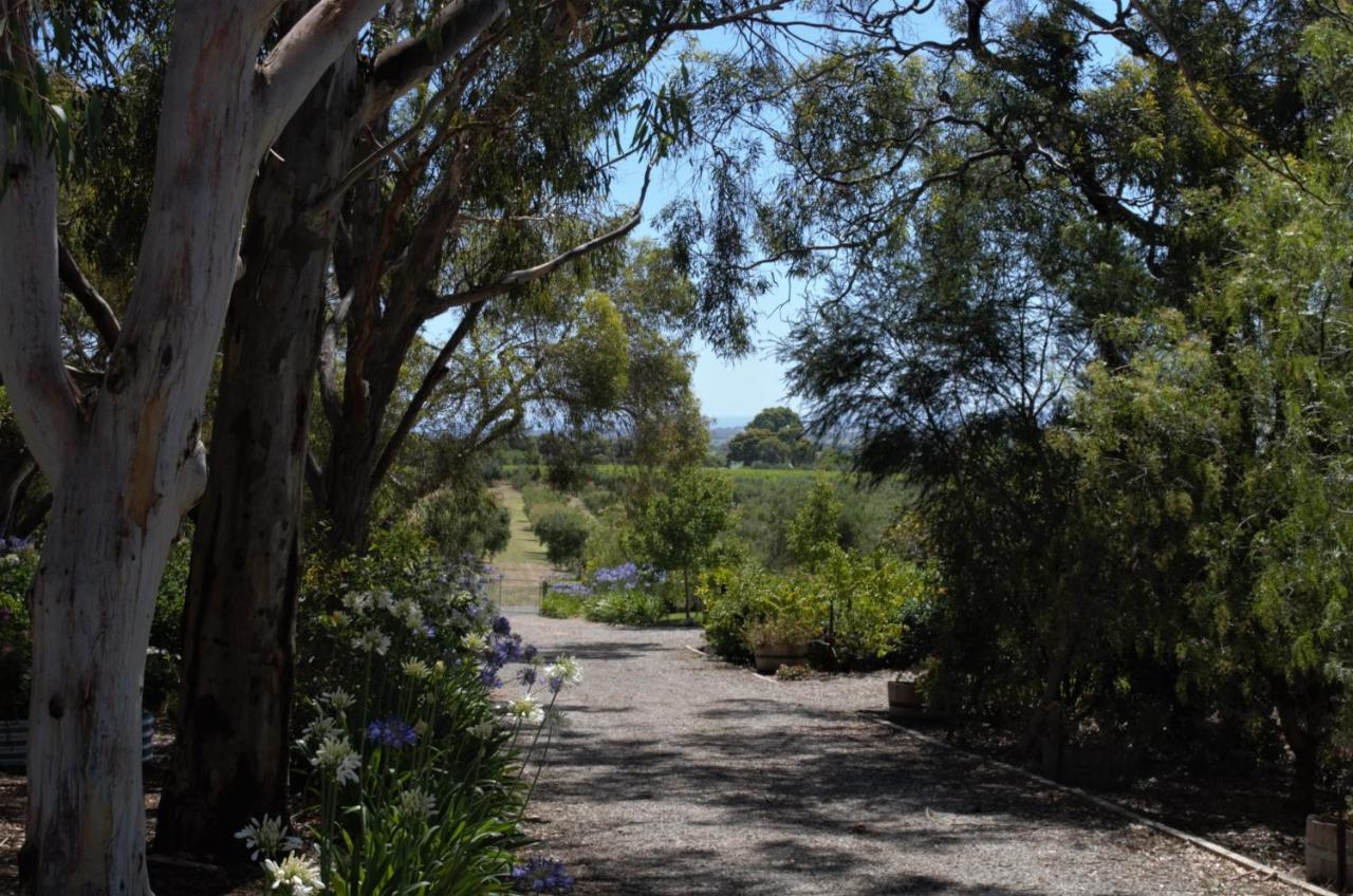 The Farm Willunga Bed & Breakfast Екстериор снимка