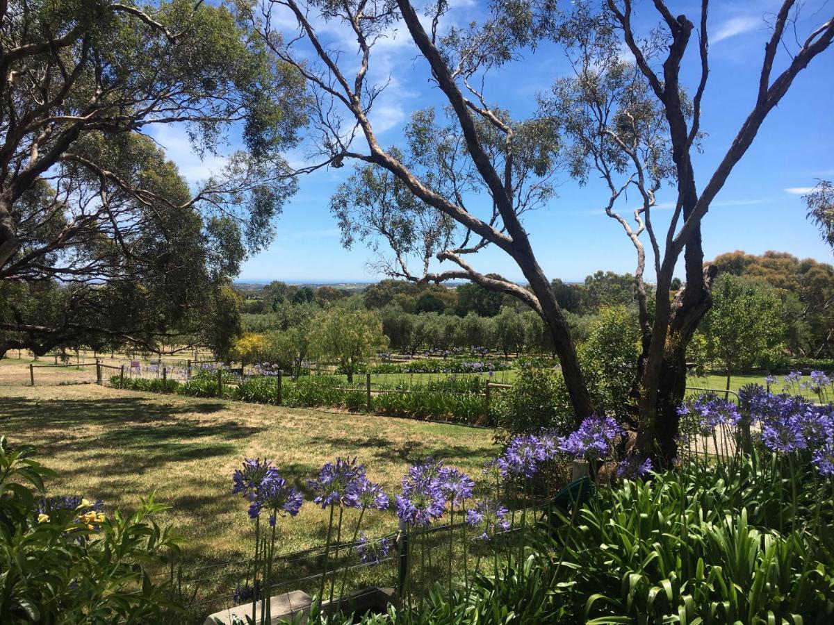 The Farm Willunga Bed & Breakfast Екстериор снимка