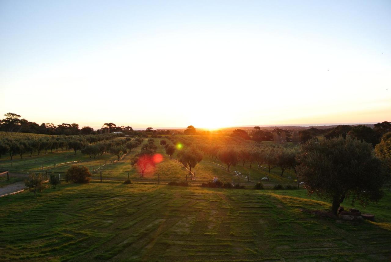 The Farm Willunga Bed & Breakfast Стая снимка