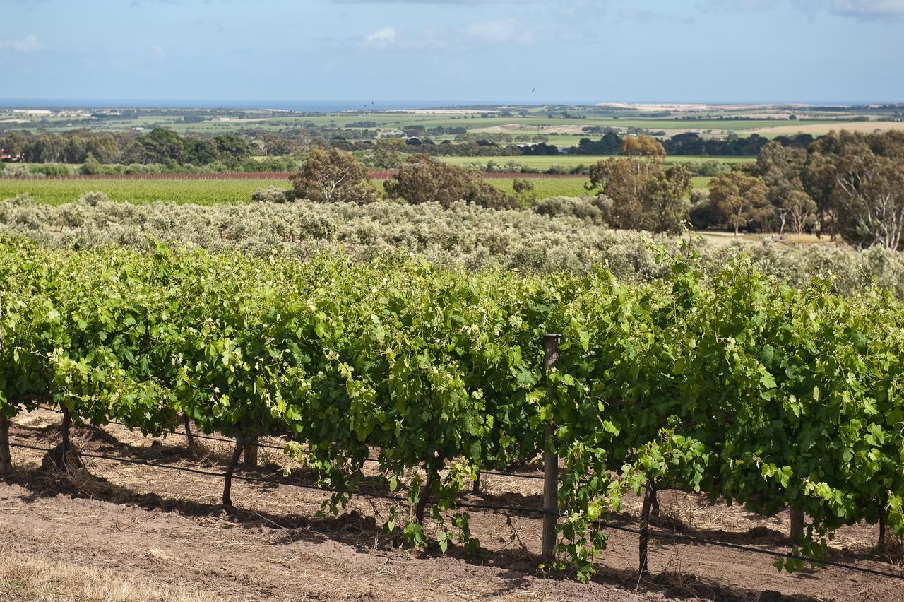 The Farm Willunga Bed & Breakfast Екстериор снимка