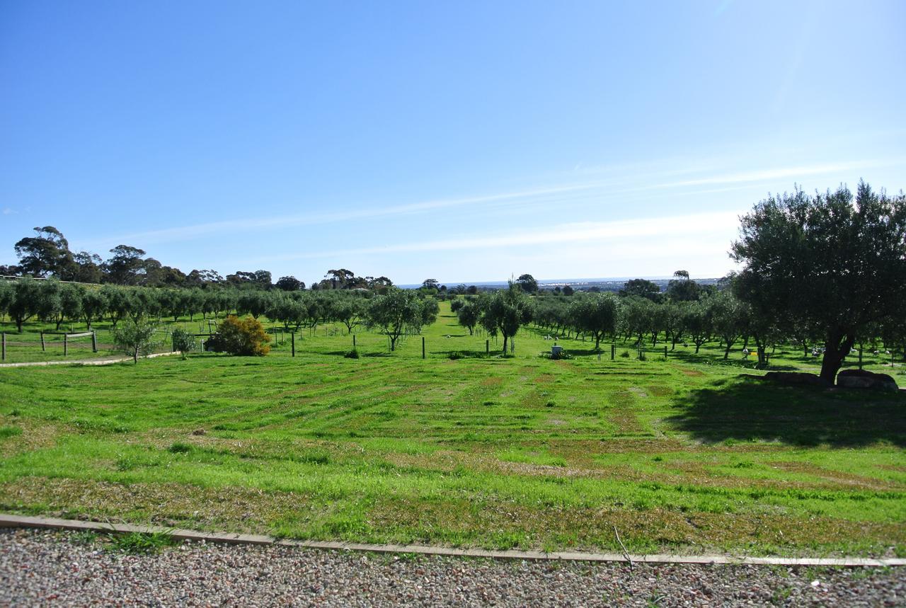 The Farm Willunga Bed & Breakfast Екстериор снимка