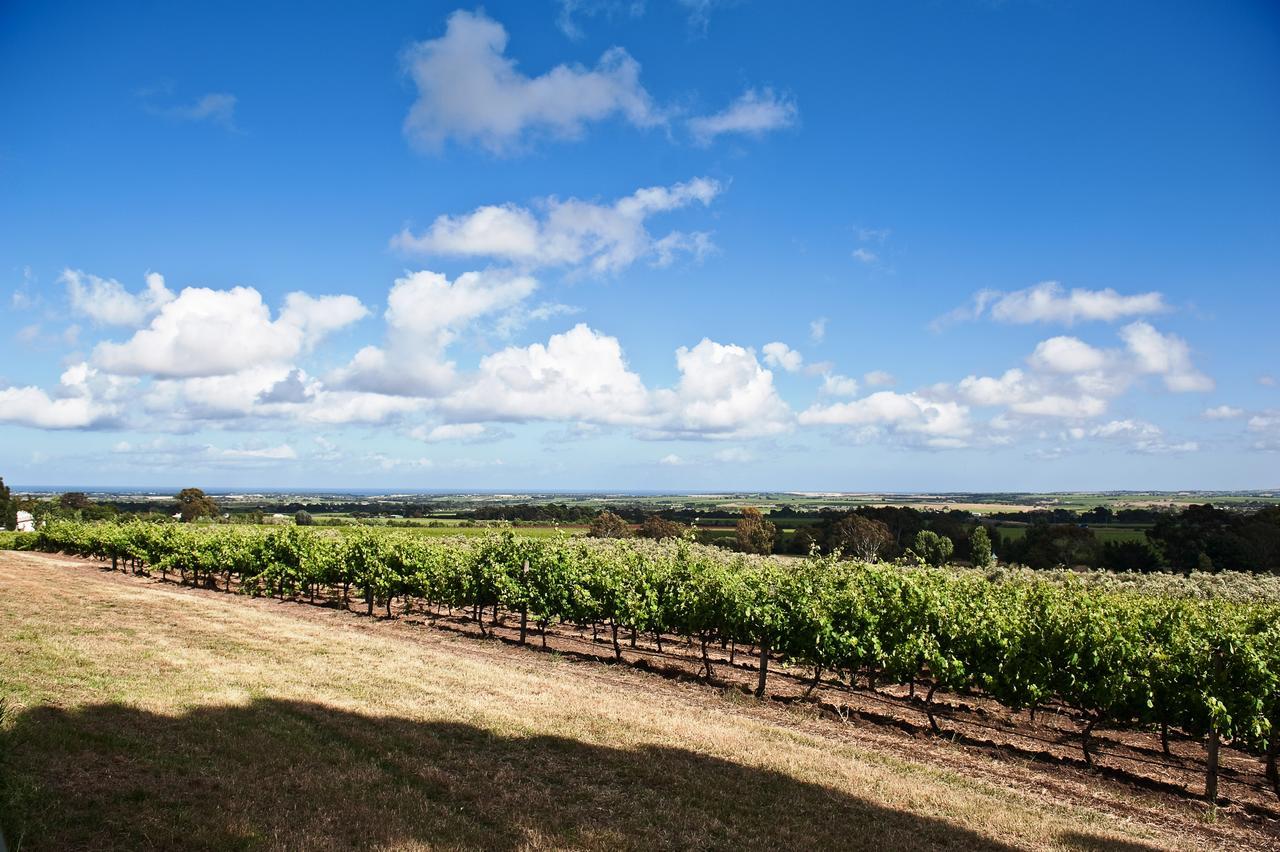 The Farm Willunga Bed & Breakfast Екстериор снимка
